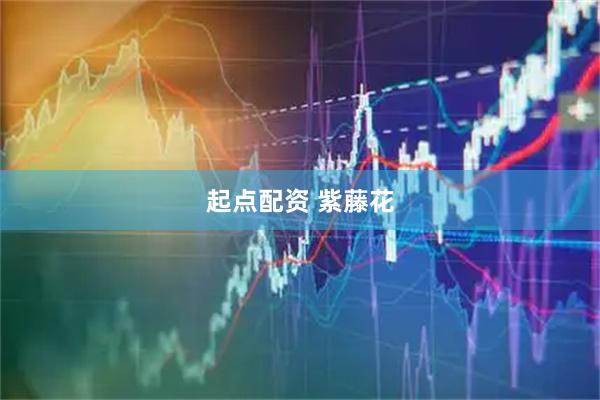 起点配资 紫藤花